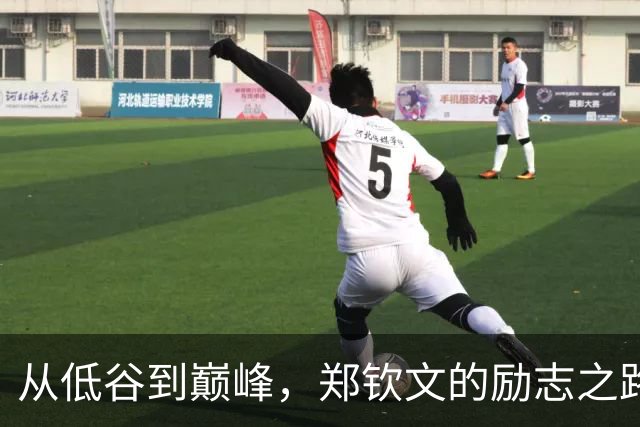 从低谷到巅峰，郑钦文的励志之路始于接受自我